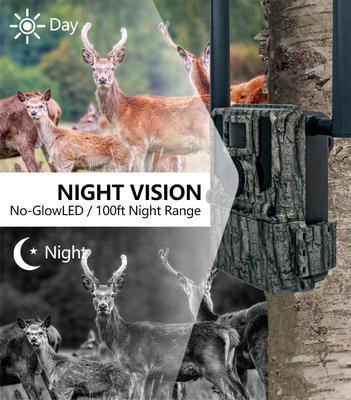 Υψηλής απόδοσης 4G Trail Camera 36MP HD φωτογραφίες και 2K βίντεο Διπλή κεραία IP66 Ανερόστερη κυνηγετική κάμερα με χωρητικότητα αποθήκευσης 512GB