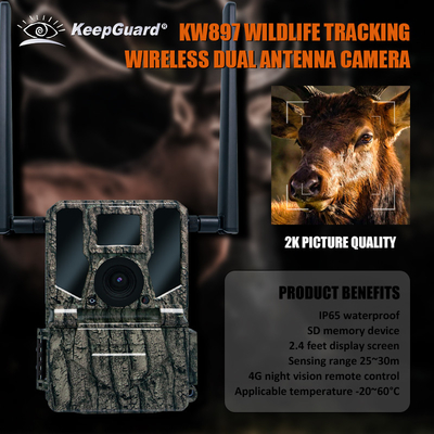 Υψηλής απόδοσης 4G Trail Camera 36MP HD φωτογραφίες και 2K βίντεο Διπλή κεραία IP66 Ανερόστερη κυνηγετική κάμερα με χωρητικότητα αποθήκευσης 512GB