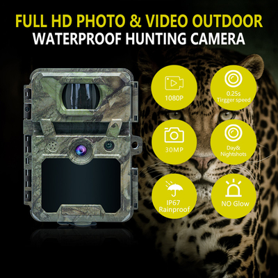 KW571 Εταιρεία OEM ODM Mini Wildlife Scouting Timelapse Trail Camera IP67 Χωρίς λάμψη CMOS αισθητήρας και μνήμη SD νυχτερινή όραση