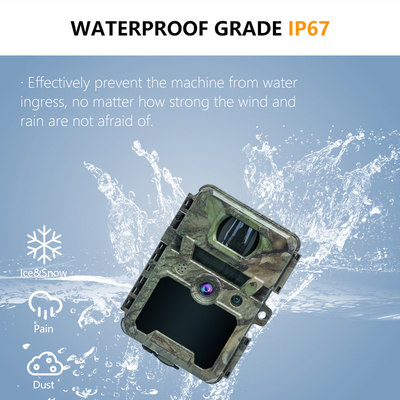 KW571 Εταιρεία OEM ODM Mini Wildlife Scouting Timelapse Trail Camera IP67 Χωρίς λάμψη CMOS αισθητήρας και μνήμη SD νυχτερινή όραση