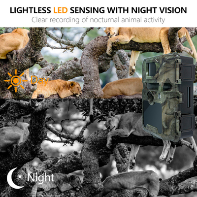 KW571 Εταιρεία OEM ODM Mini Wildlife Scouting Timelapse Trail Camera IP67 Χωρίς λάμψη CMOS αισθητήρας και μνήμη SD νυχτερινή όραση