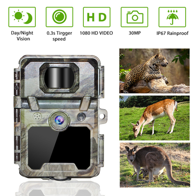 KW571 Εταιρεία OEM ODM Mini Wildlife Scouting Timelapse Trail Camera IP67 Χωρίς λάμψη CMOS αισθητήρας και μνήμη SD νυχτερινή όραση