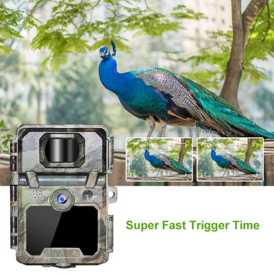 KW571 Εταιρεία OEM ODM Mini Wildlife Scouting Timelapse Trail Camera IP67 Χωρίς λάμψη CMOS αισθητήρας και μνήμη SD νυχτερινή όραση