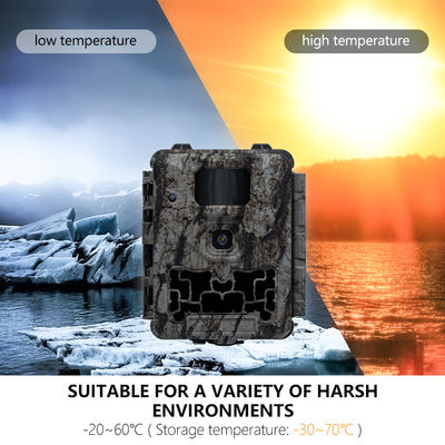 Επαγγελματική φωτογραφική μηχανή κυνηγιού με αυτόματη IR-Cut-Remove και υποστήριξη μικροαντικειμένου 450mm για σαφείς και λεπτομερείς εικόνες άγριας ζωής