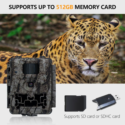 Επαγγελματική φωτογραφική μηχανή κυνηγιού με αυτόματη IR-Cut-Remove και υποστήριξη μικροαντικειμένου 450mm για σαφείς και λεπτομερείς εικόνες άγριας ζωής