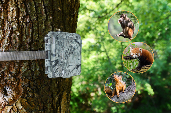 KG45 TRAMP ALARM TRAIL CAMERA για το κυνήγι υποστήριξη 1 ~ 5 κινητά τηλέφωνα λάτρεις Καλέστε για να στείλετε SMS γρήγορη απάντηση
