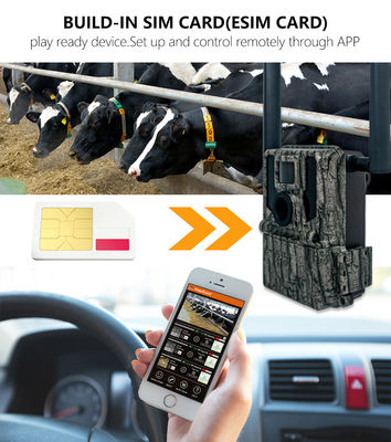 Κυνηγικές και οδικές κάμερες Ηλιακό πάνελ 4G Ασύρματη κάμερα KW897 με διπλή κεραία 100ft νυχτερινή εμβέλεια 36MP 2K βίντεο σε 30fps