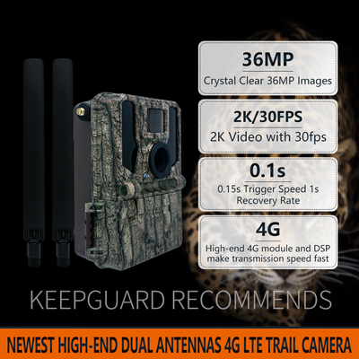 Υψηλής ποιότητας ασύρματη κάμερα 4G 2024 Νέο KW897 με διπλές κεραίες 36MP 2K 0.1s ταχύτητα ενεργοποίησης με νυχτερινή όραση για την έρευνα της άγριας ζωής