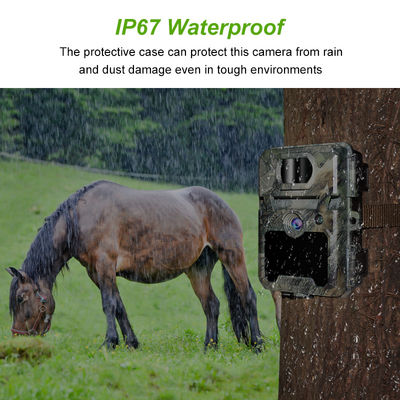 Προσαρμόσιμες HD Κάμερες Κυνηγιού για Παρακολούθηση Άγριας Ζωής με Υποστήριξη Κάρτας Μνήμης 512GB