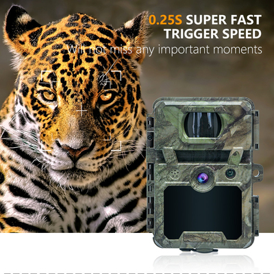 Κάμερα κυνηγιού KW571 με 30MP 1080P αδιάβροχο IP67 0.25s ενεργοποιεί μέχρι 512GB αποθήκευσης για το κυνήγι άγριας ζωής