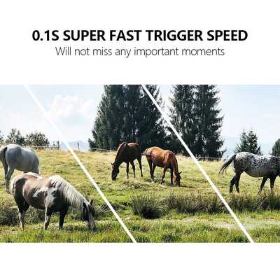 4G κινητή ασύρματη κάμερα ίχνη KW886 24MP εικόνα 1080P βίντεο νυχτερινή όραση χωρίς λάμψη LED με APP διαμόρφωση για πολλαπλές εφαρμογές