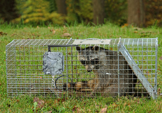 Ασύρματες Κάμερες Κυνηγιού HD