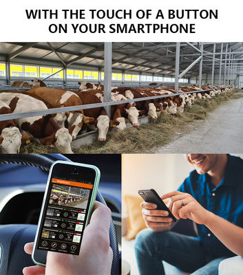 IP65 Αδιάβροχη κάμερα 4G Trail