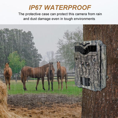 Διπλού Φακού Κάμερες Κυνηγιού HD