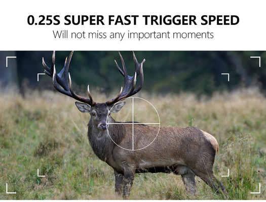 WIFI Trail Camera KW866 OEM/ODM 0.25s Ταχύτητα λήψης Αδιάβροχη IP67 έως 512GB Αποθήκευση 32MP 4K με 30fps Καμερα άγριας ζωής