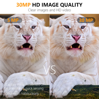 30MP 1080P Mini Trail Camera Keepguard KW561 IP67 Ανταγωνιστική τιμή IR Φως Καμερές άγριας ζωής χωρίς λάμψη