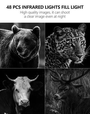 Απολαύστε Ασυναγώνιστη Απόδοση με την Κάμερα 4G Trail Η τέλεια λύση για την παρακολούθηση της άγριας ζωής