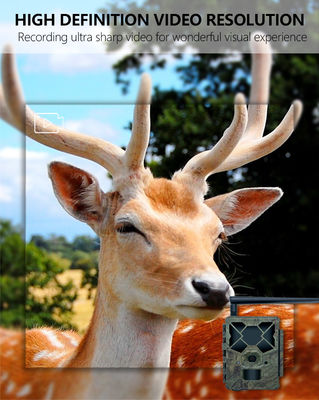 Απολαύστε Ασυναγώνιστη Απόδοση με την Κάμερα 4G Trail Η τέλεια λύση για την παρακολούθηση της άγριας ζωής