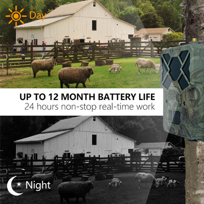 Απολαύστε Ασυναγώνιστη Απόδοση με την Κάμερα 4G Trail Η τέλεια λύση για την παρακολούθηση της άγριας ζωής