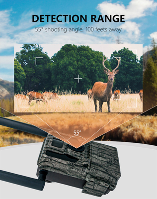 Υψηλής απόδοσης 4G Trail Camera 36MP HD φωτογραφίες και 2K βίντεο Διπλή κεραία IP66 Ανερόστερη κυνηγετική κάμερα με χωρητικότητα αποθήκευσης 512GB