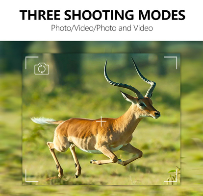 Υψηλής απόδοσης 4G Trail Camera 36MP HD φωτογραφίες και 2K βίντεο Διπλή κεραία IP66 Ανερόστερη κυνηγετική κάμερα με χωρητικότητα αποθήκευσης 512GB