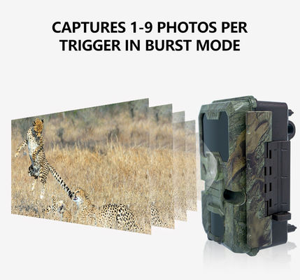 Κάμερα Κυνηγιού 32MP Camouflage IP66 Αδιάβροχη Νυχτερινής Όρασης με 4K Βίντεο και Χωρητικότητα Κάρτας Μνήμης 512GB