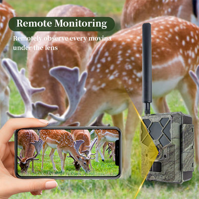 Απομακρυσμένα ελεγχόμενη 4G κάμερα κυνηγιού KW886 με δυνατότητα βίντεο 1080p και 120ft νυχτερινή εμβέλεια
