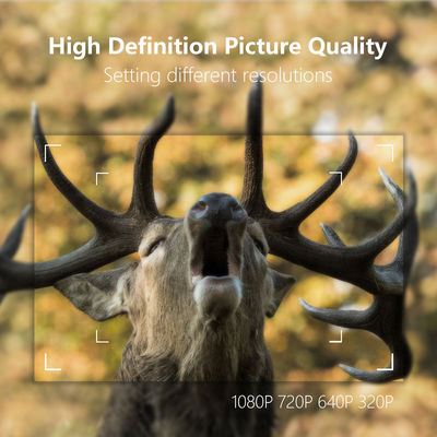 30MP οι αισθητήρες Megapixel καμερών ιχνών ελαφιών στεγανοποιούν IP65 με την κάρτα SDHC