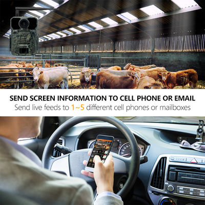 940nm οδηγημένη κάμερα Hd 30MP 180mA ιχνών κυνηγιού προγραμματίσημο