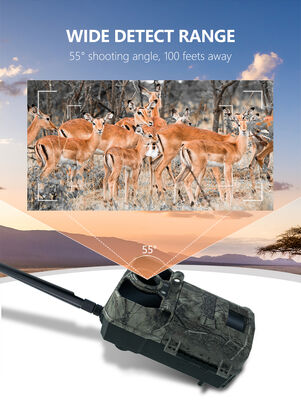 Ασύρματη κάμερα παρακολούθησης μονοπατιού με ανθεκτικό περίβλημα ανθεκτικό στις καιρικές συνθήκες και προηγμένη ανίχνευση κίνησης για εργασίες εξωτερικής επιτήρησης