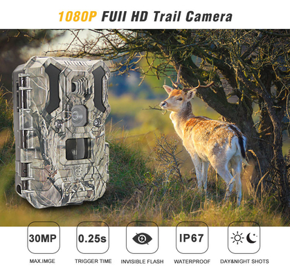 Υπέρυθρη κάμερα 30MP 1080P IP66 κυνηγιού άγριας φύσης LEDs