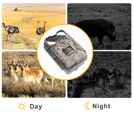 Κινητική κάμερα άγριας ζωής