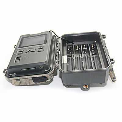 Κινητική κάμερα άγριας ζωής