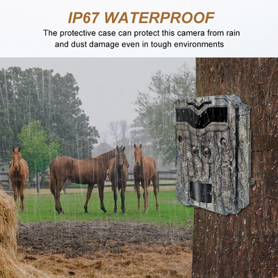 Νέα KW698A 4K Trail Camera Διπλοί αισθητήρες IP67 No Glow AA Alkaine Batteries Wildlife Outdoor Hunting Camera