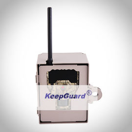 Στεγανή κάμερα 6310MG GPRS/MMS προσκόπου ιχνών βελανιδιών μίνι