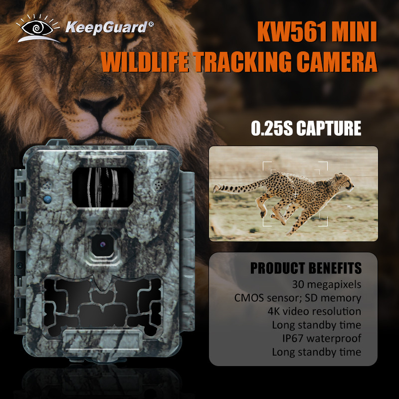 KW561 Wildlife Trail υπέρυθρη κάμερα Μίνι 30MP 0,25s Ταχύτητα 4K Ανάλυση βίντεο Αδιάβροχος αισθητήρας CMOS SD Μνήμη νυχτερινή όραση