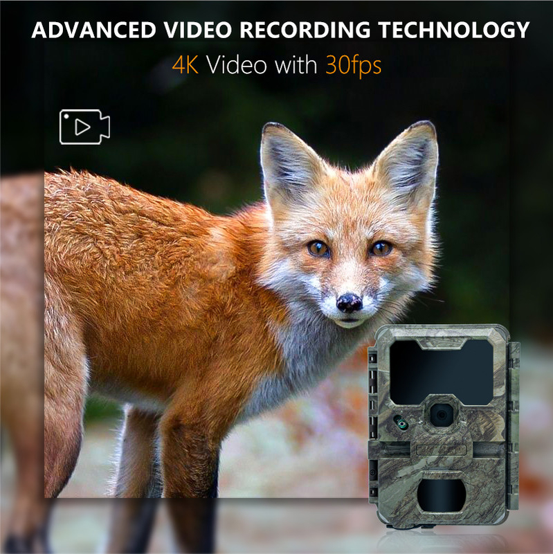 KW788 Trail κάμερα κυνηγετική κάμερα Αδιάβροχη 4K 32MP Εύκολη πλοήγηση απλή χρήση ισχυρή μακροχρόνια