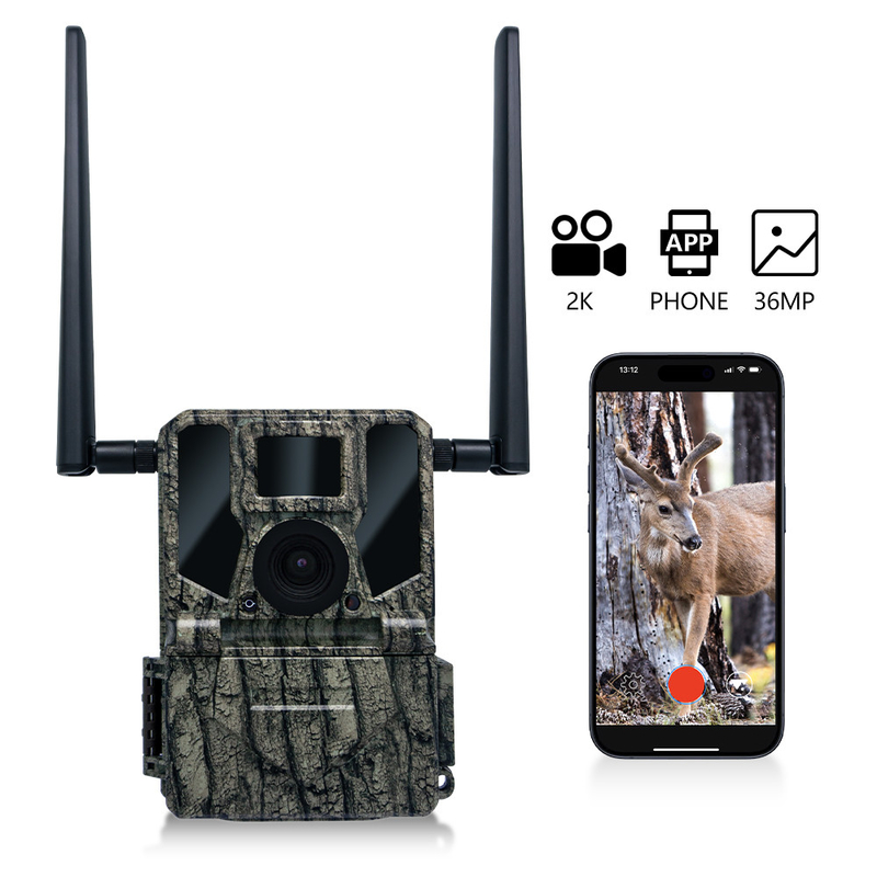 Υψηλής απόδοσης 4G Trail Camera 36MP HD φωτογραφίες και 2K βίντεο Διπλή κεραία IP66 Ανερόστερη κυνηγετική κάμερα με χωρητικότητα αποθήκευσης 512GB
