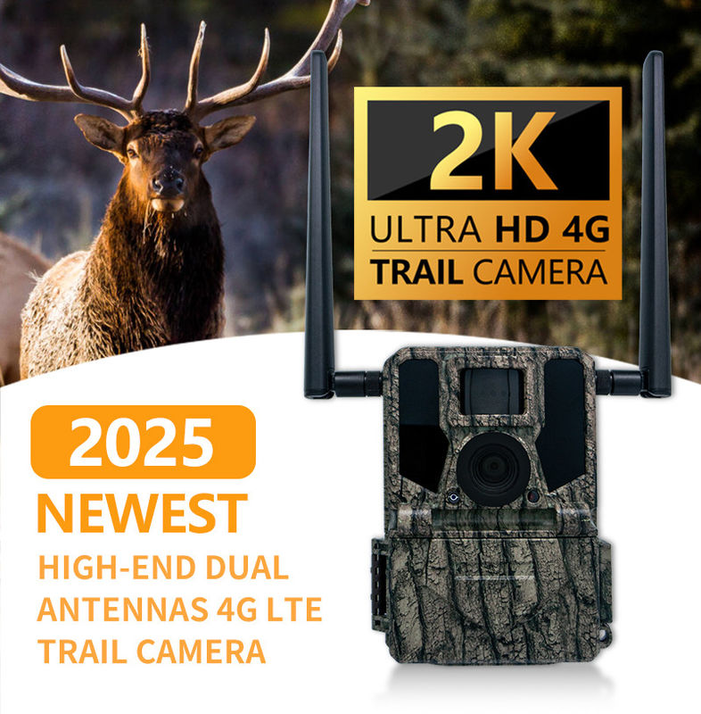 4G Trail Camera Φωτογραφία Βίντεο 36MP Μεγέθος εικόνας 1-9 Αριθμός λήψης 5s-60s μήκος βίντεο